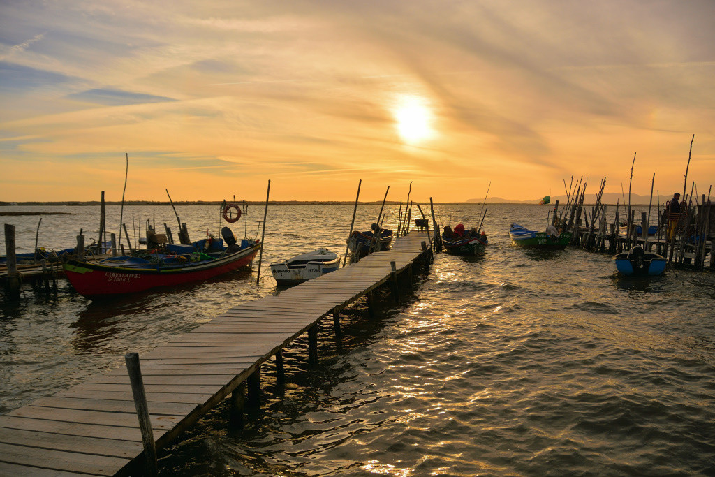 DSC_2934_02_00022.jpg DSC_2934_02_00022.jpg