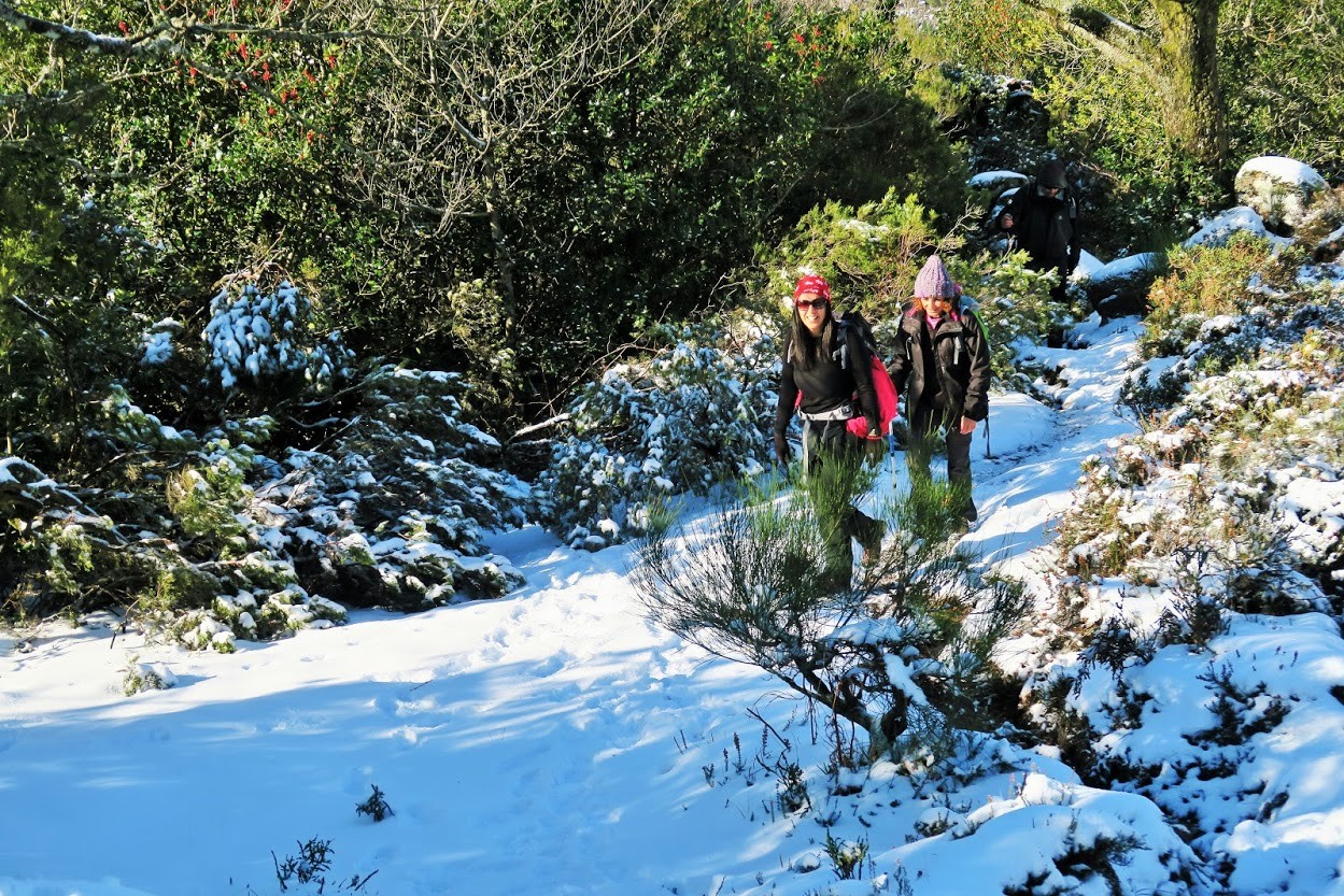 IMG_0017.JPG IMG_0017.JPG