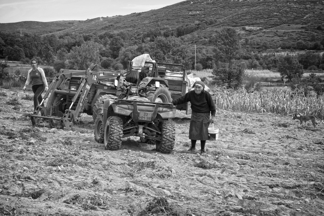 _JMF7543 - cópia copy.jpg