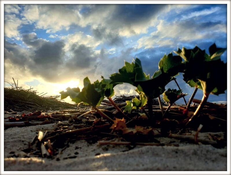 279571830_7706807555997743_8101082540000984889_n f