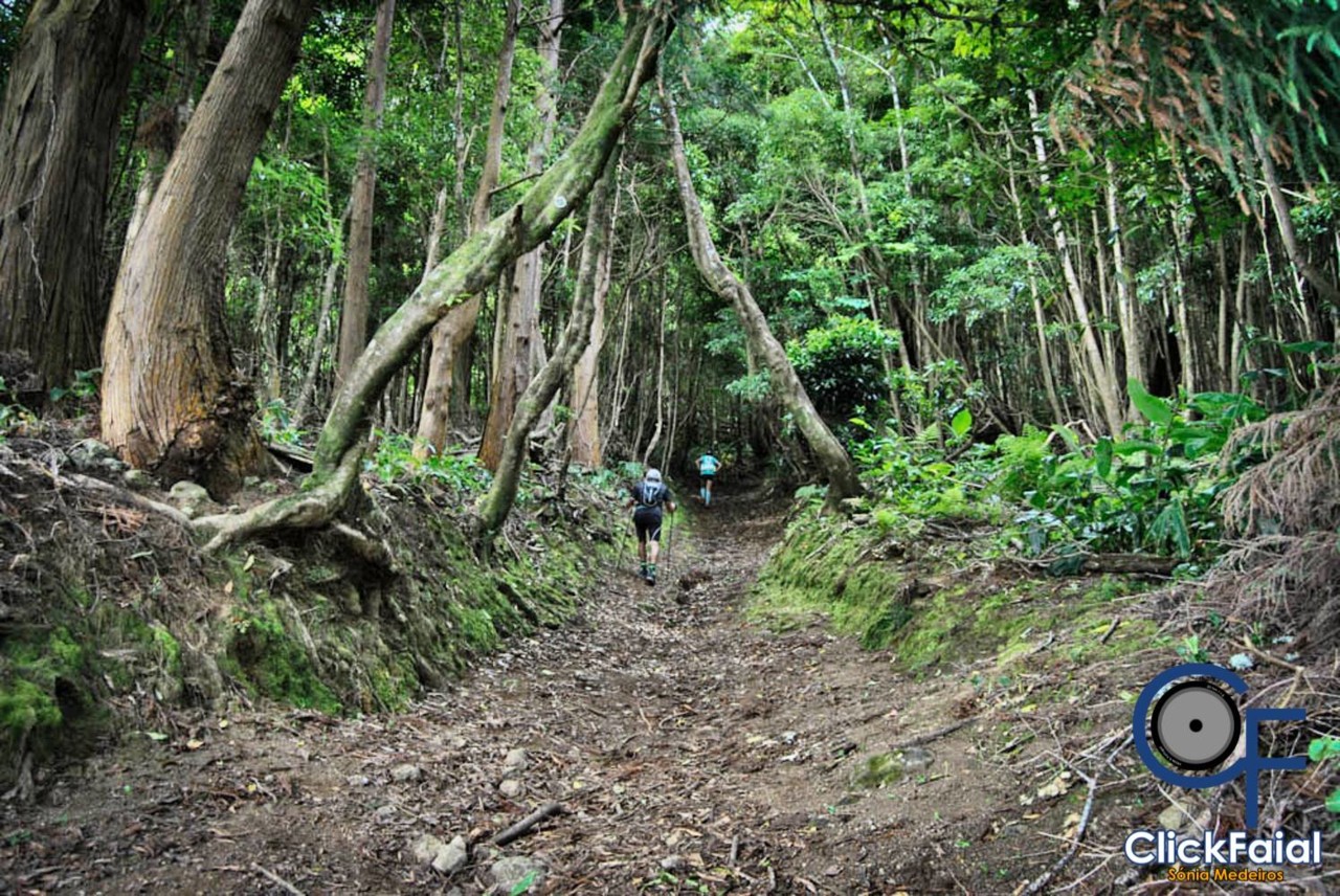 Extreme Atlantic ATR 2.jpg