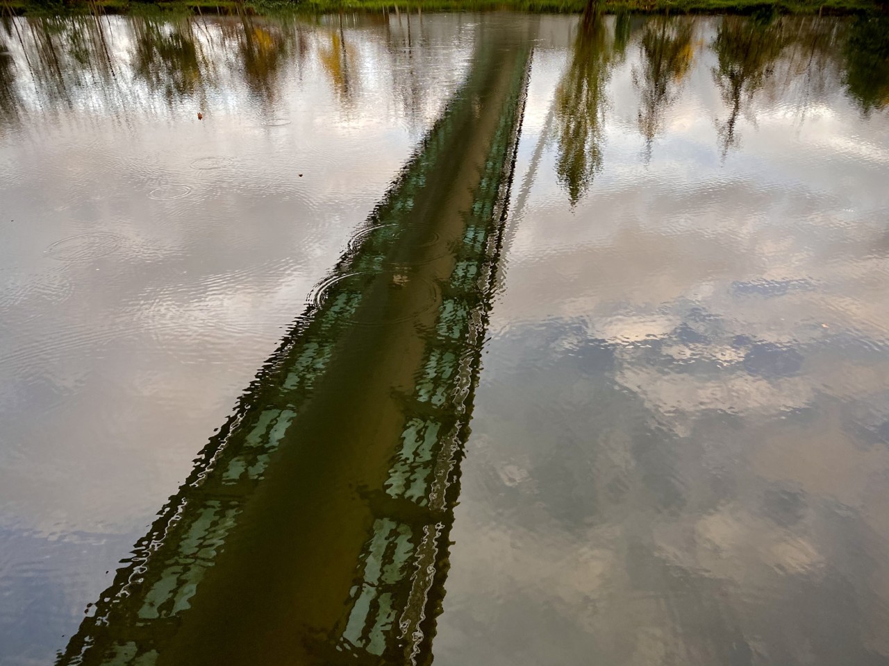 IMG_3169 - cópia.jpg