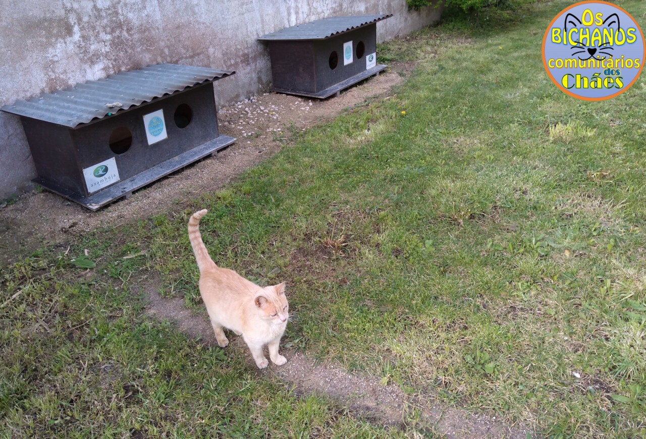 431463144_425363373352495_5114171802502293105_n.jp