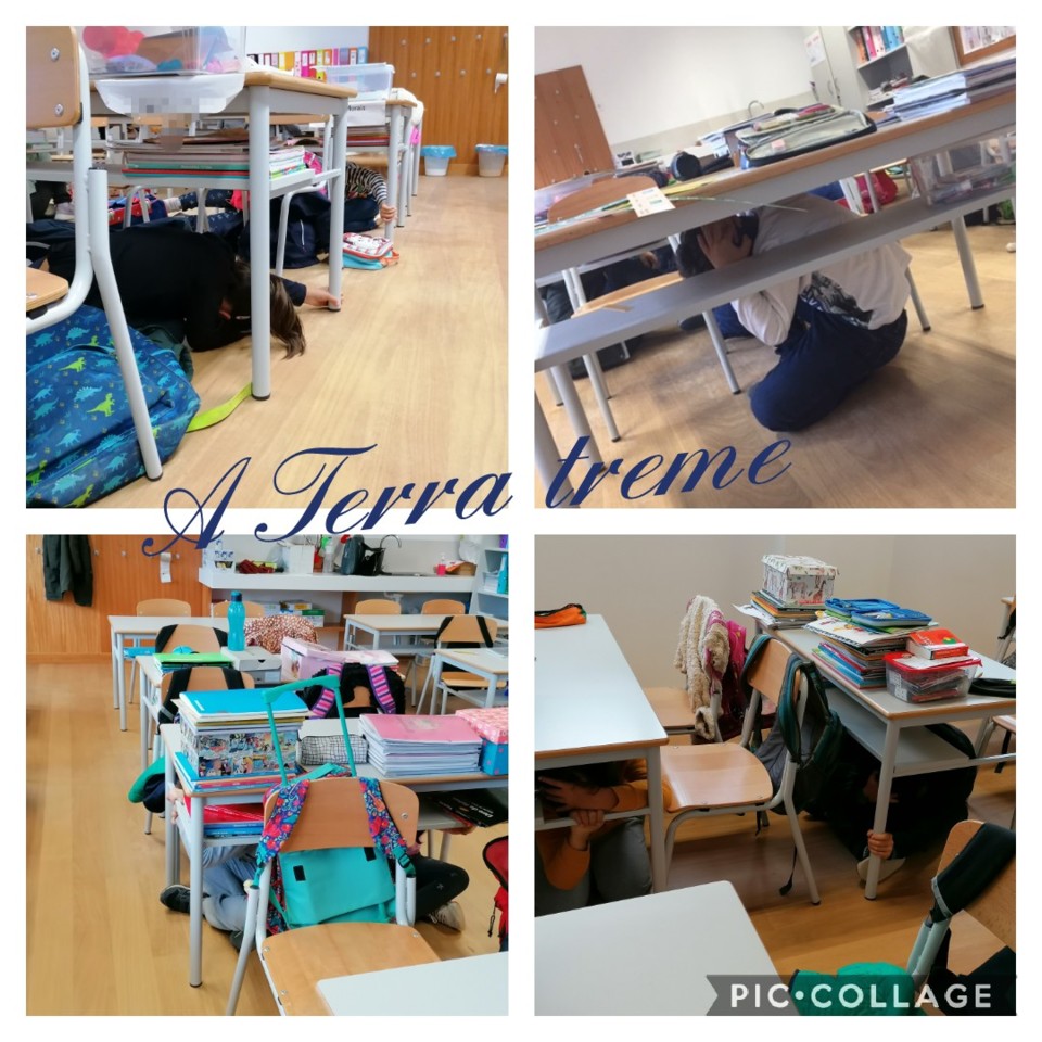 Collage 2020-11-05 20_51_58.jpg