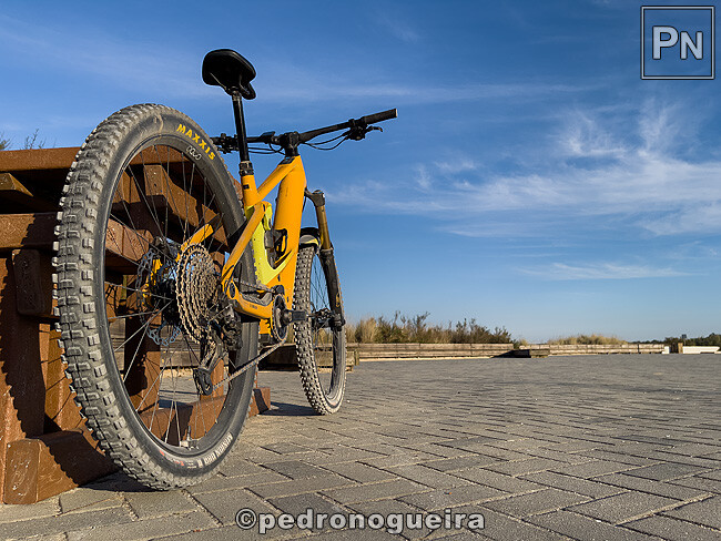 Out_2025_041 650px.jpg