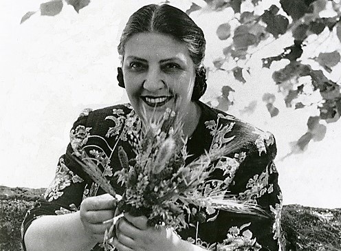 71801932_1362554877245134_5743573062435995648_n.jp