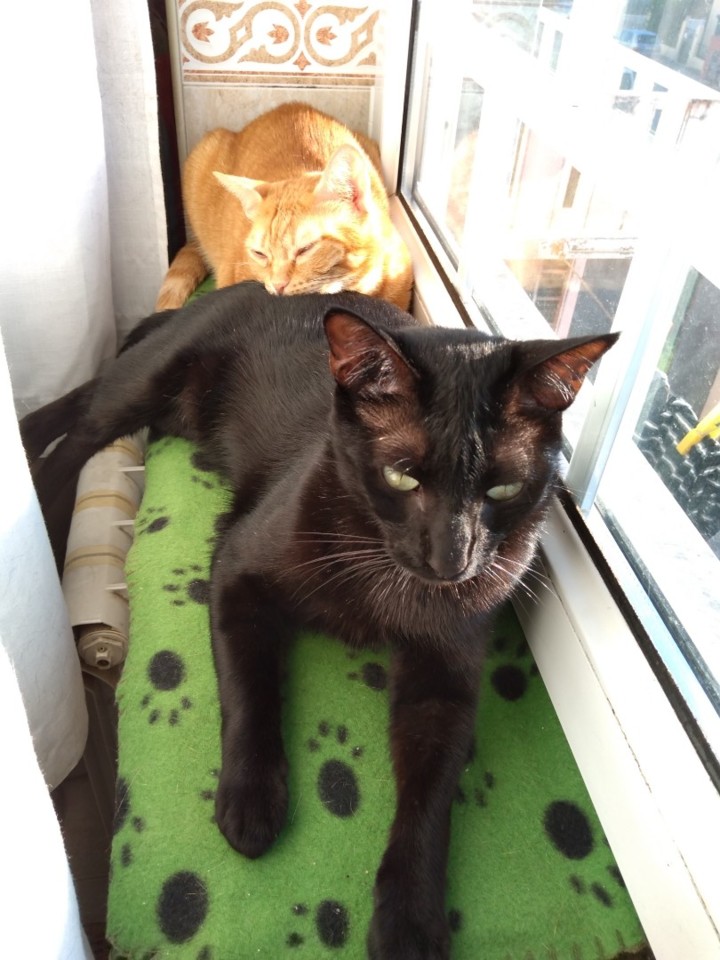 SquarePic_20191006_16531129.jpg SquarePic_20191006_16531129.jpg