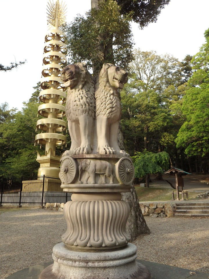 P6091719.JPG P6091719.JPG