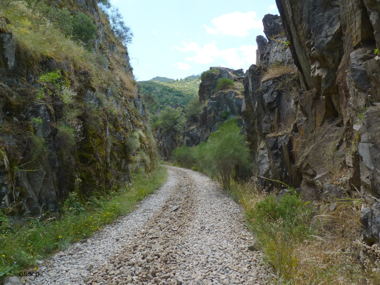 Passeio na antiga linha do Tua, Junho 2016