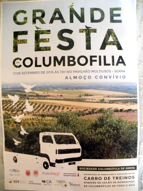 Leilão de Ourique 2016 031.JPG