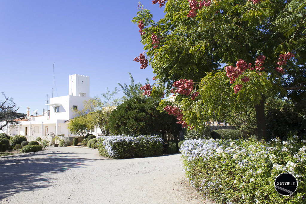 Hotel_Rural_Quinta_do_Marco-007149.jpg