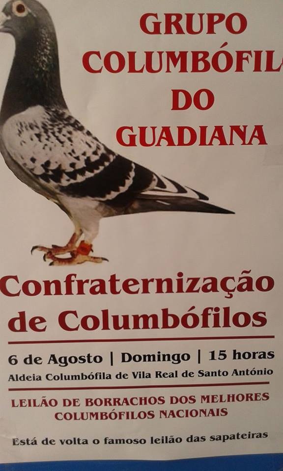Leilão Guadiana.jpg