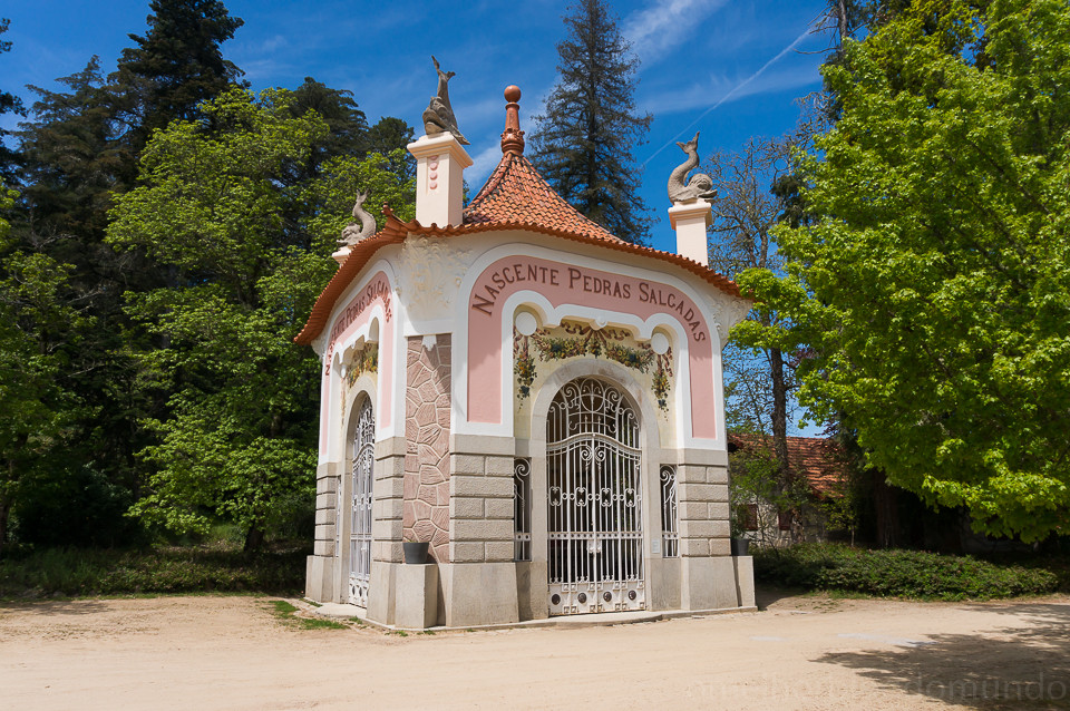 DSC02056.jpg DSC02056.jpg