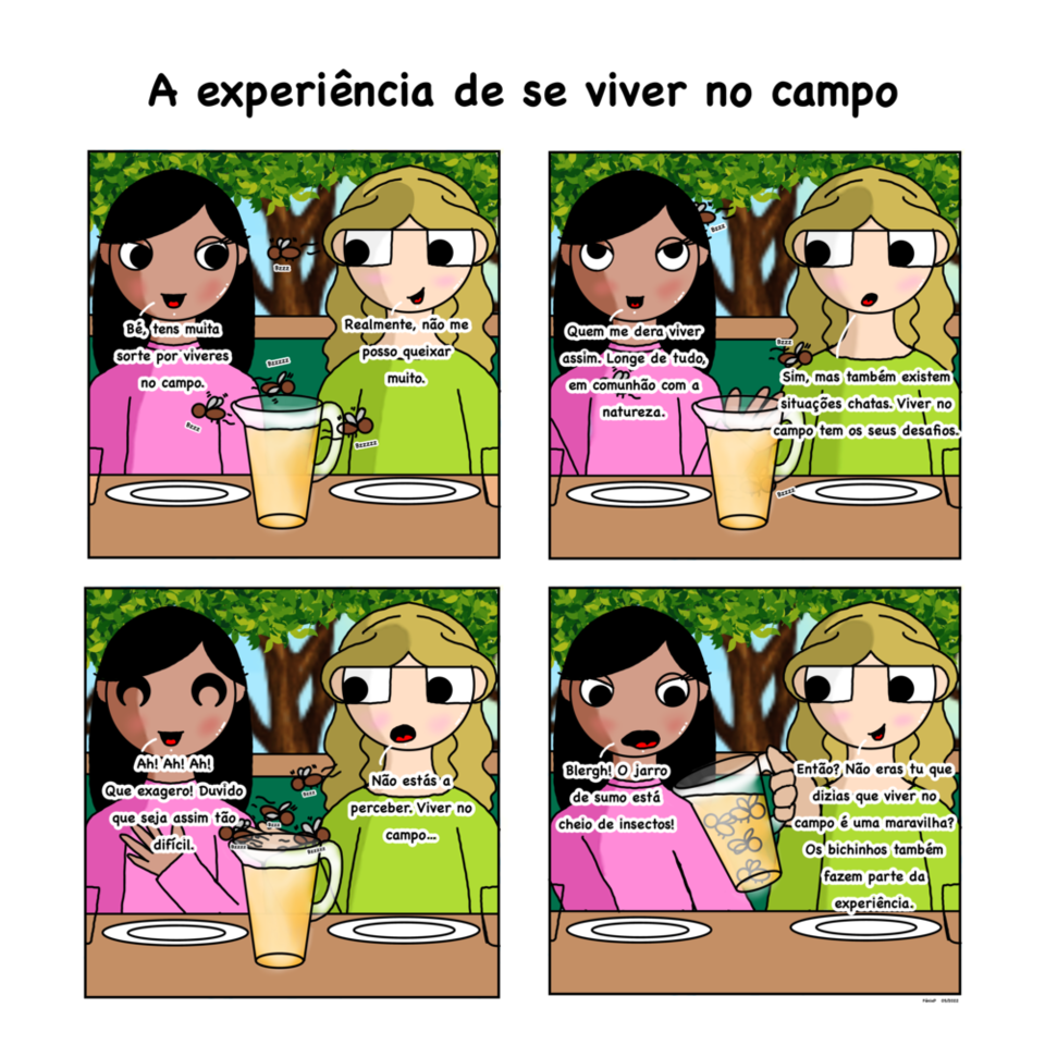 BD 14 da série de Primavera.png