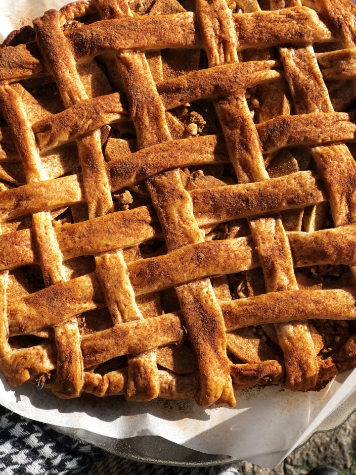 B060BFC7-E610-4EE0-BFCF-67E14C652F6F 2.JPG