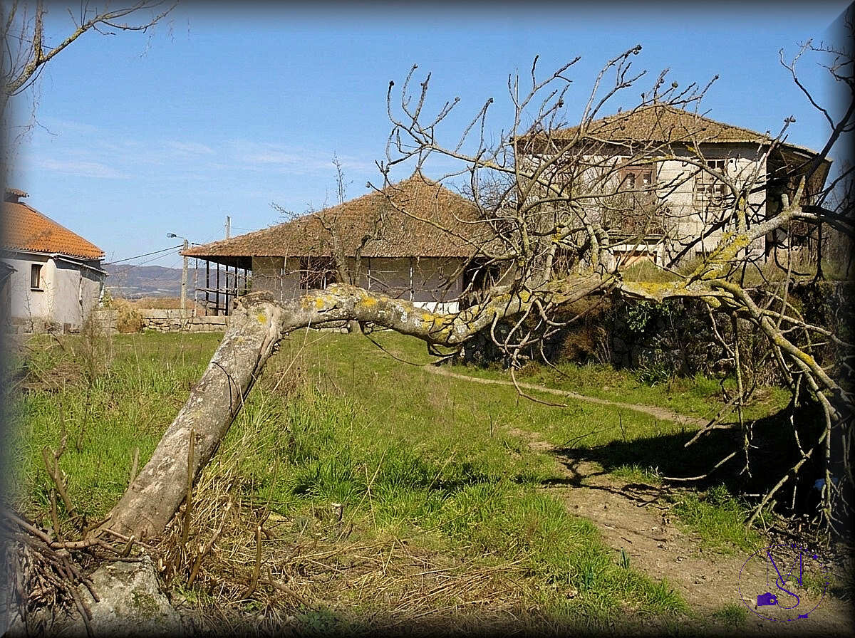 07Fev DSC09558_ms.JPG