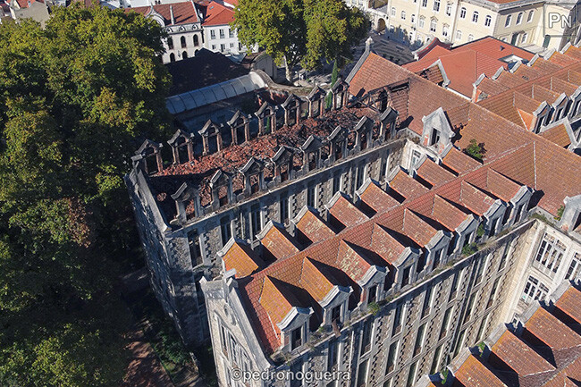 DJI 26-09-23 650px.jpg