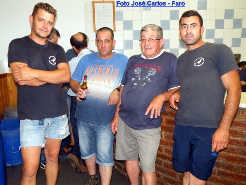 Leilão Ervidel 003.JPG