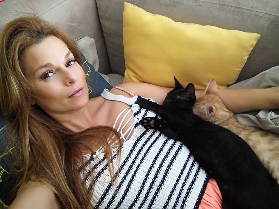 13906867_1232087846810717_4113680443593033074_n.jp 13906867_1232087846810717_4113680443593033074_n.jp