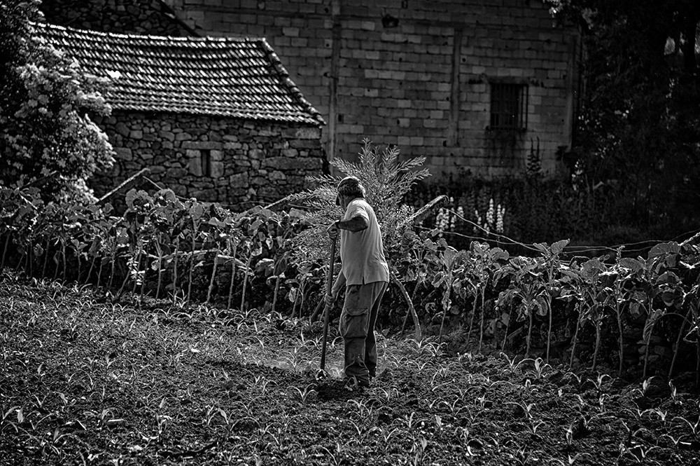 DSC_1571 - Cópia.JPG DSC_1571 - Cópia.JPG