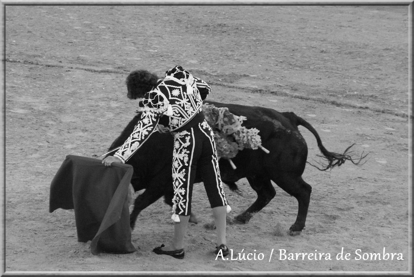 IMG_6626.JPG IMG_6626.JPG