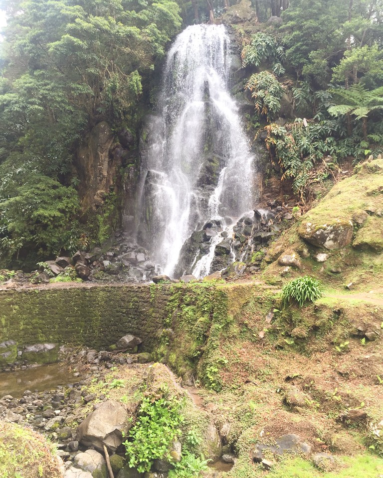 IMG_3980.JPG IMG_3980.JPG