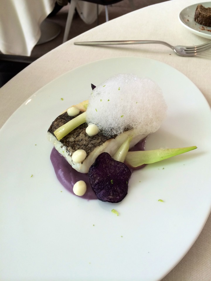 IMG_3469.jpg IMG_3469.jpg