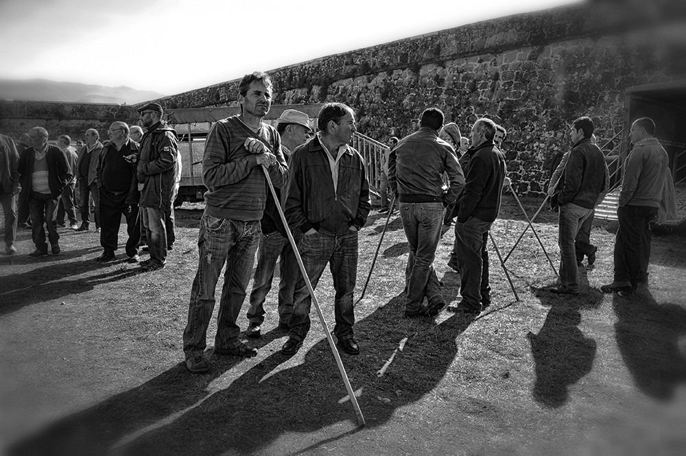 _JMD8356 - Cópia.JPG