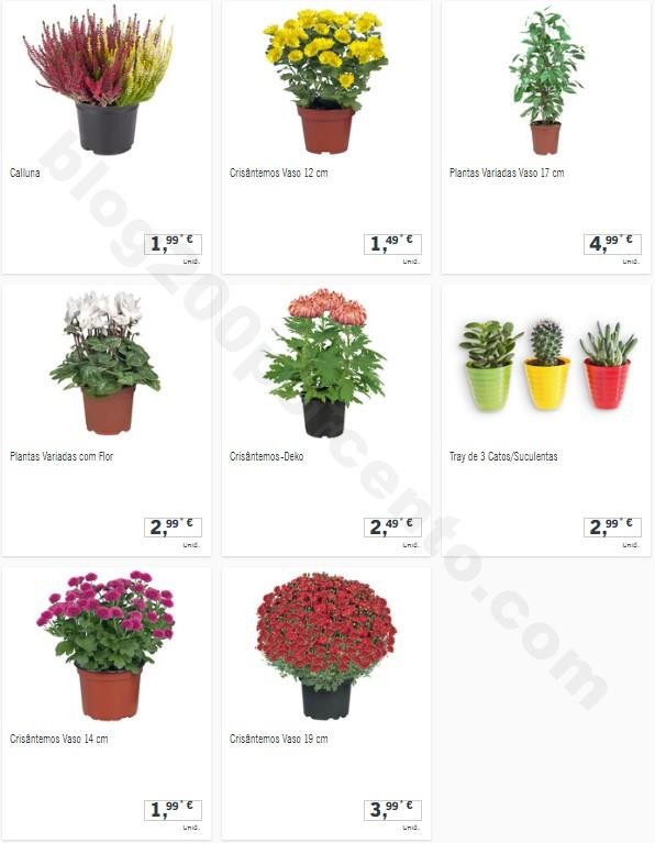 Promoções-Descontos-29165.jpg
