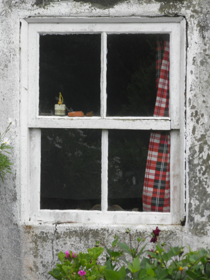 Flores - Moinho da Ribeira da Alagoa (15).jpg