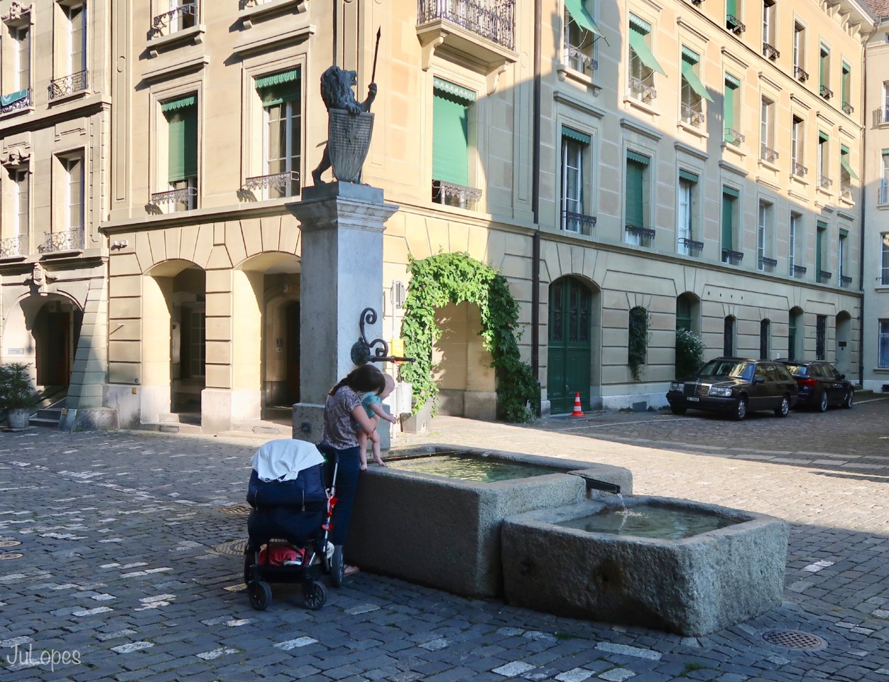 IMG_8807.jpeg IMG_8807.jpeg