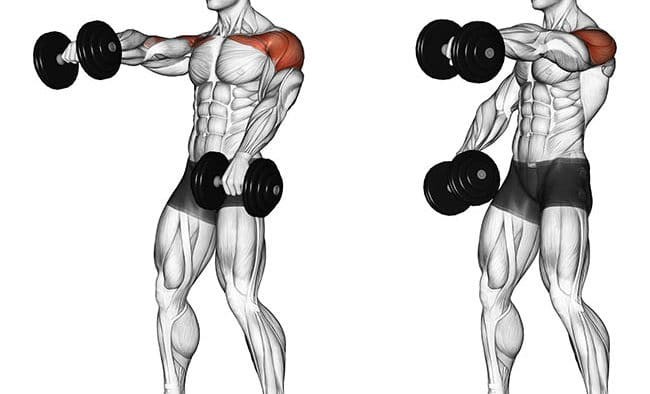 elevação-frontal-treino-de-ombros-canal-saudavel