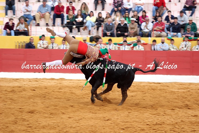 forc ap chamusca 2.JPG