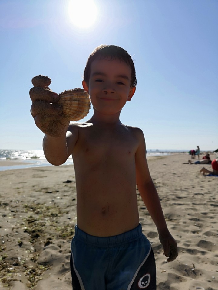 IMG_20190803_174756.jpg IMG_20190803_174756.jpg