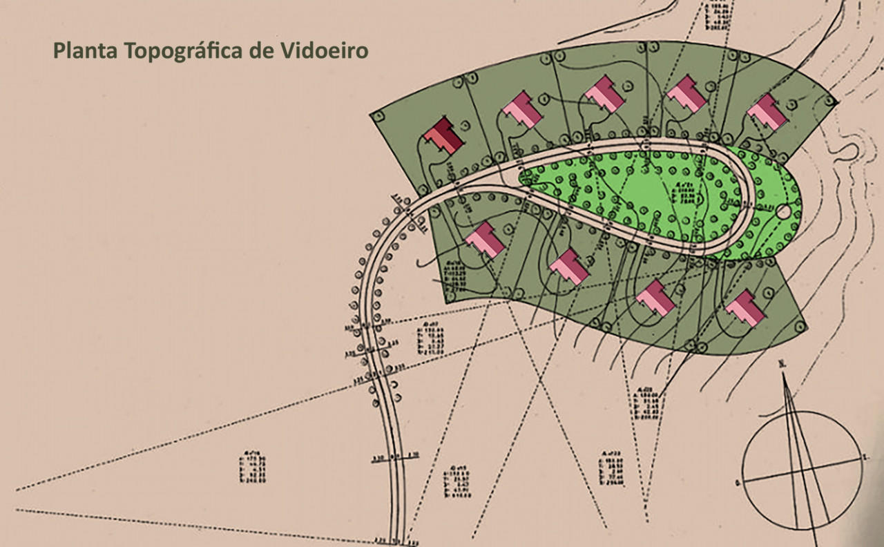 31-fig-1600-vidoeiro.jpg