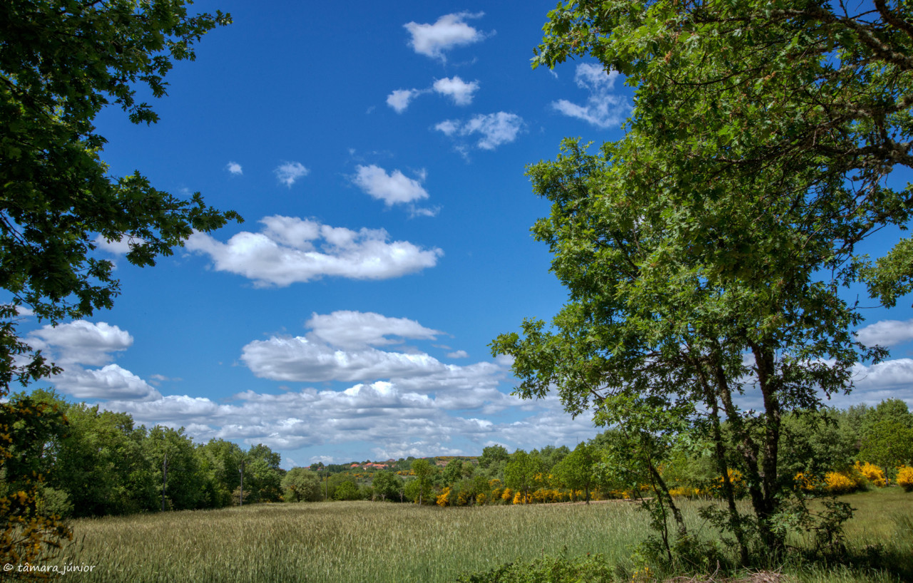 2015 - Alanhosa+Senhora da Saúde (139).jpg