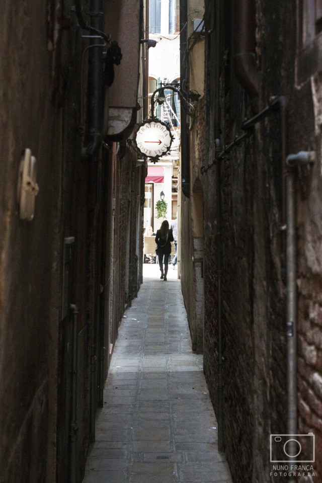 IMG_5554_net.jpg IMG_5554_net.jpg