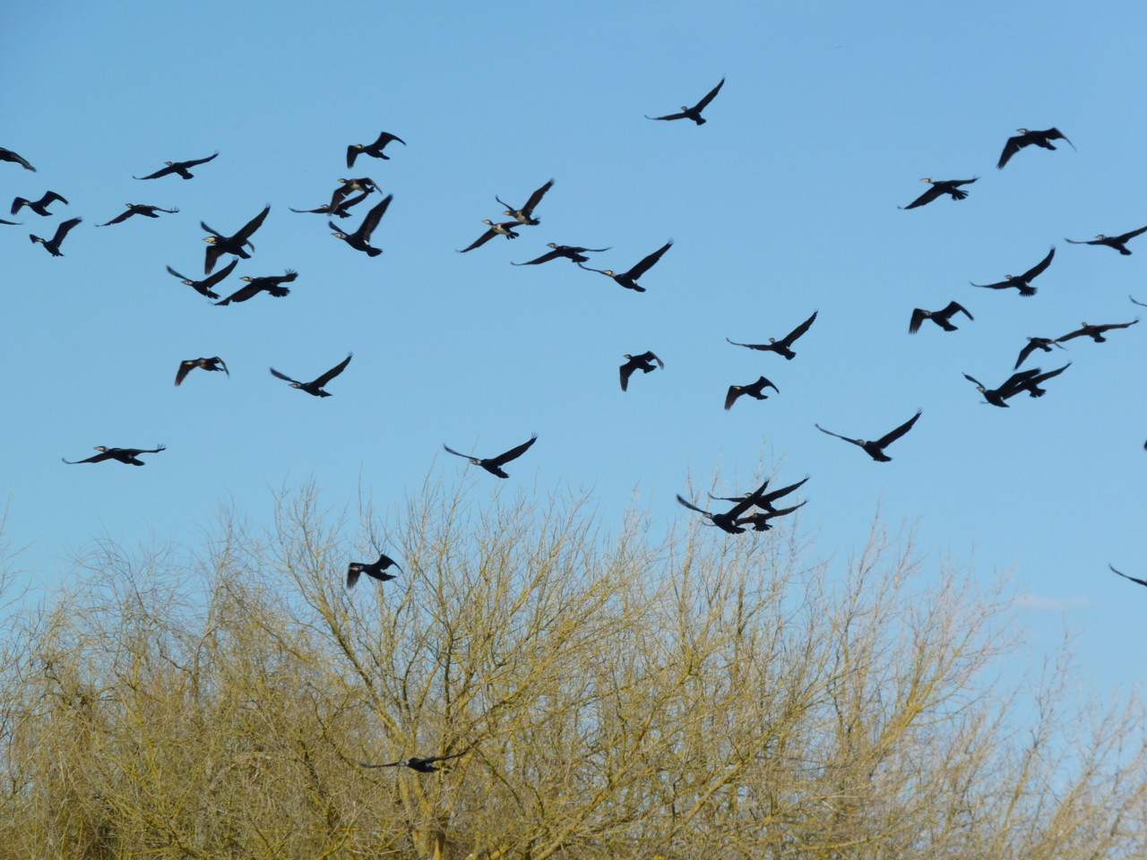 Passeio de barco (5).JPG