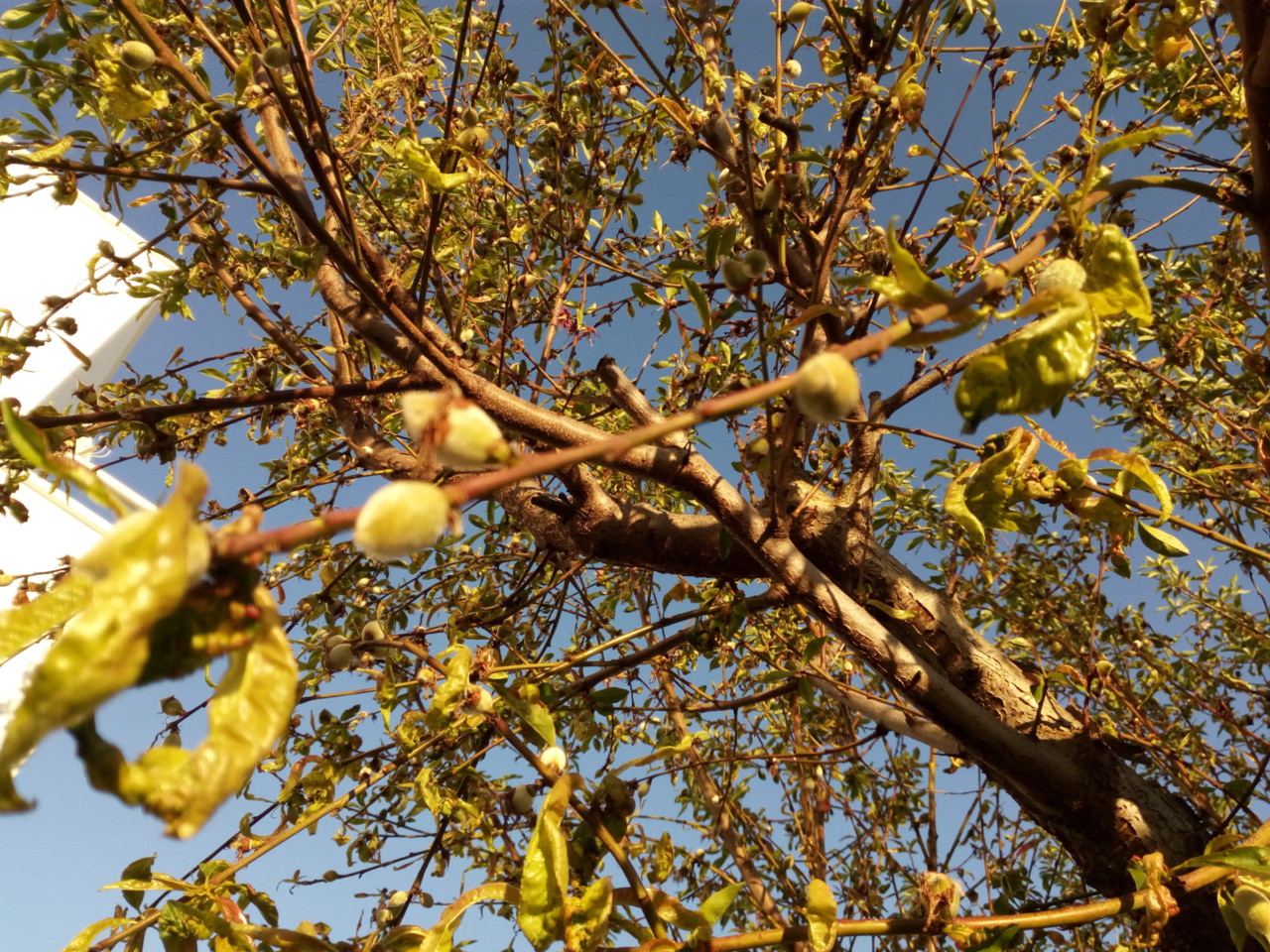 IMG_20180418_191023.jpg IMG_20180418_191023.jpg