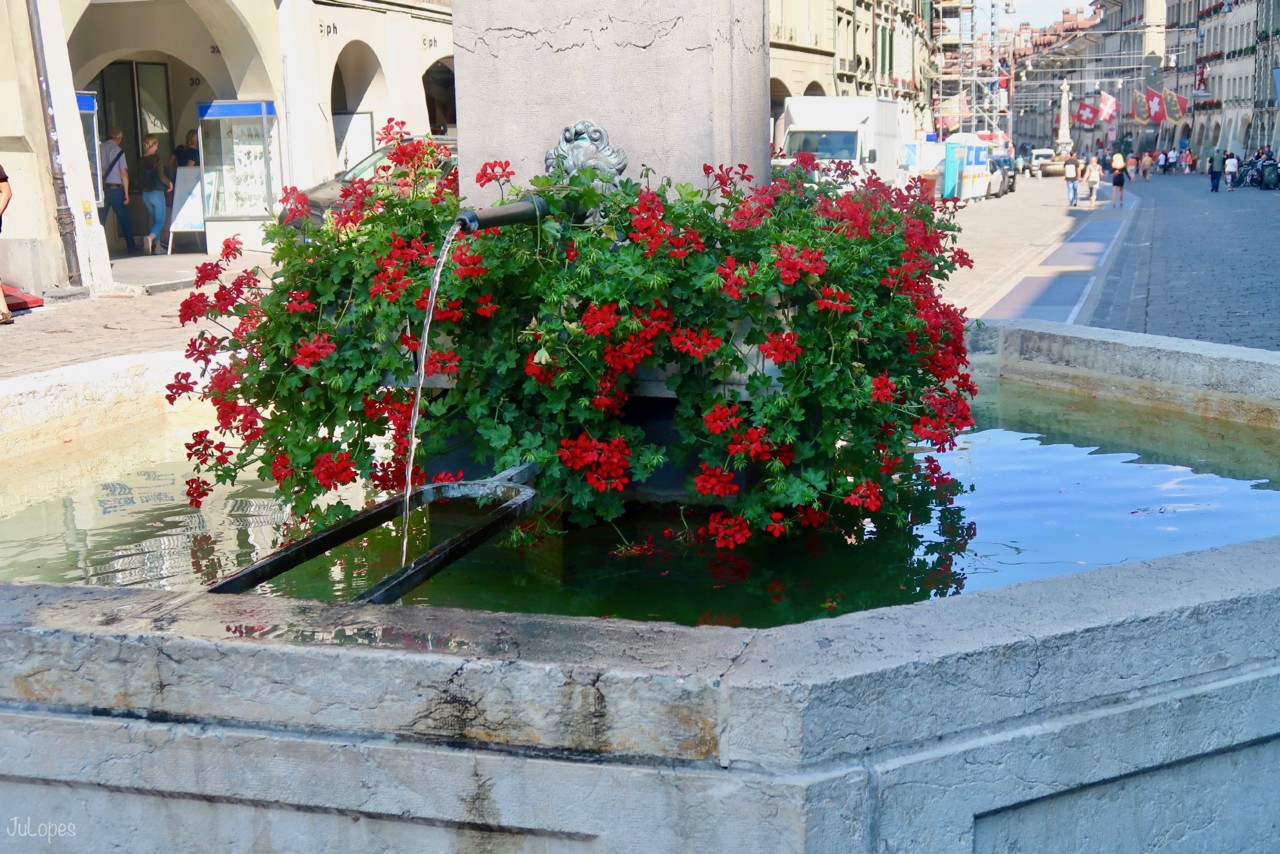 IMG_8650.jpg IMG_8650.jpg