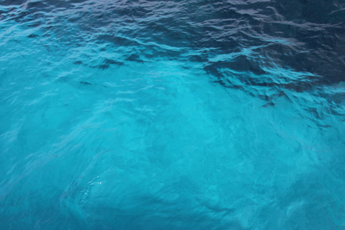 img_8676.jpg img_8676.jpg