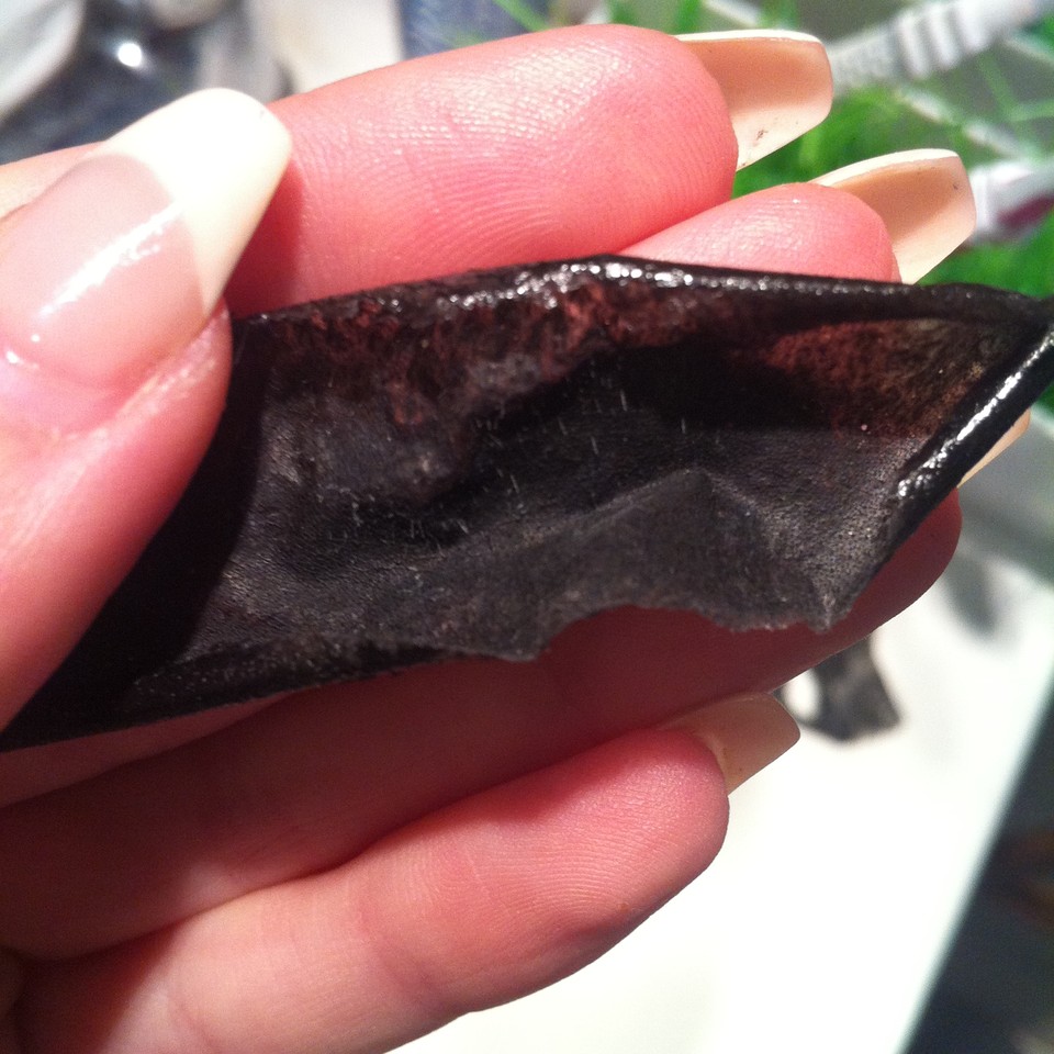 image_2.jpeg image_2.jpeg