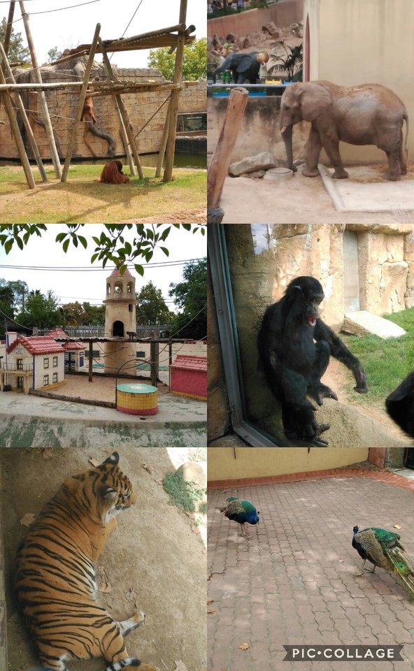 Collage 2017-08-31 23_21_07.jpg