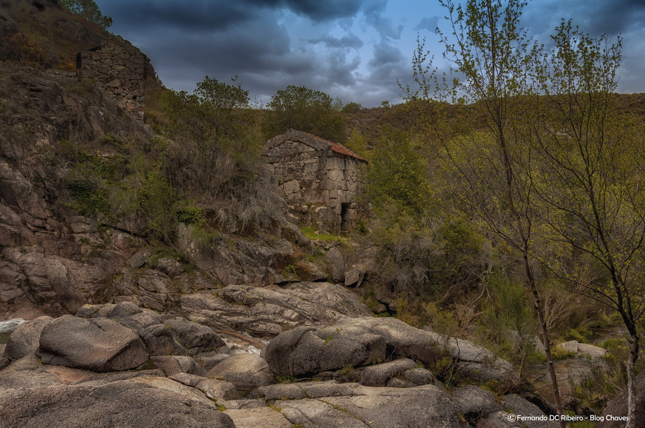 1600-cela (202)-video.jpg