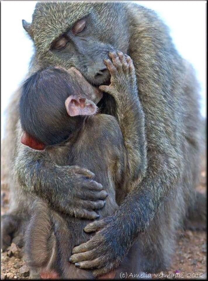 FB_IMG_15464464654474978.jpg FB_IMG_15464464654474978.jpg