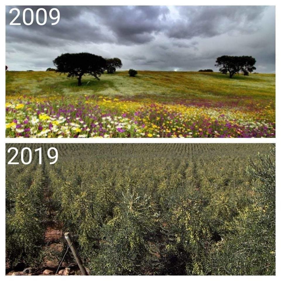 50261804_2316047541748166_4134779189251276800_n.jp