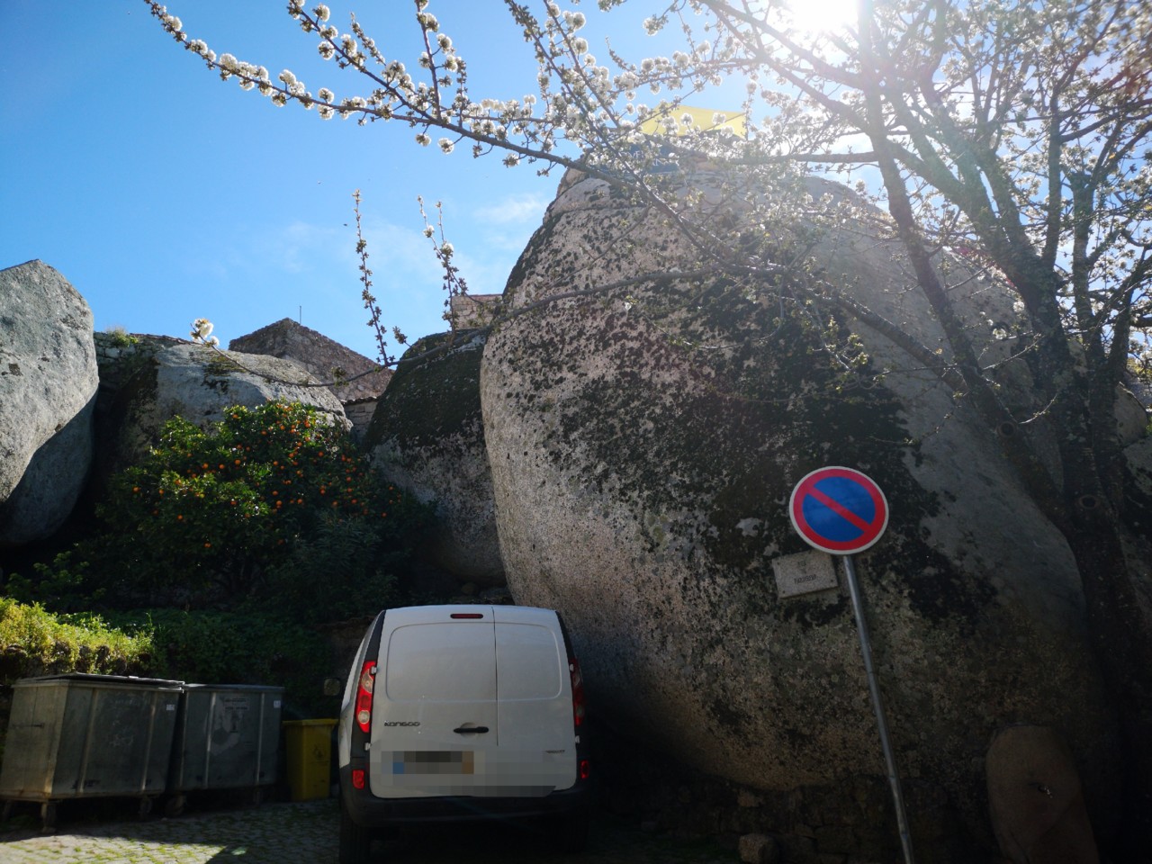 IMG_20190320_082924.jpg IMG_20190320_082924.jpg