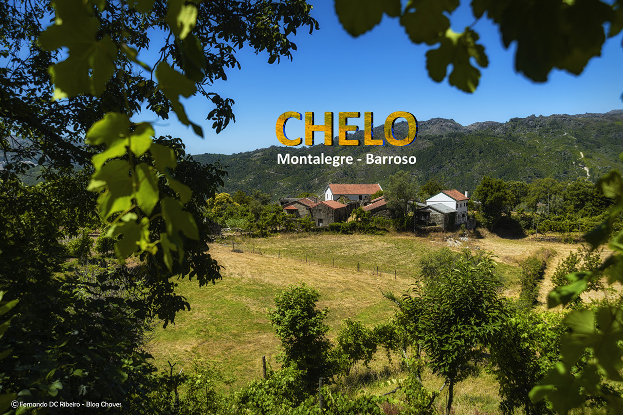 1600-chelo (10)-video.jpg 1600-chelo (10)-video.jpg