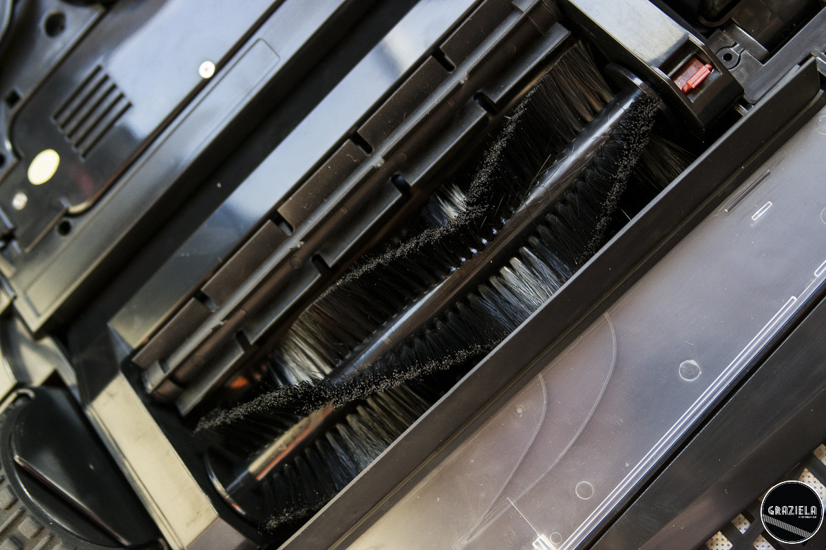 Pequenas-4.JPG Pequenas-4.JPG