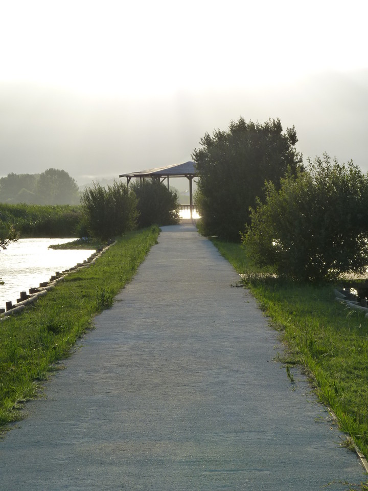 Pateira de Fermentelos (7).JPG